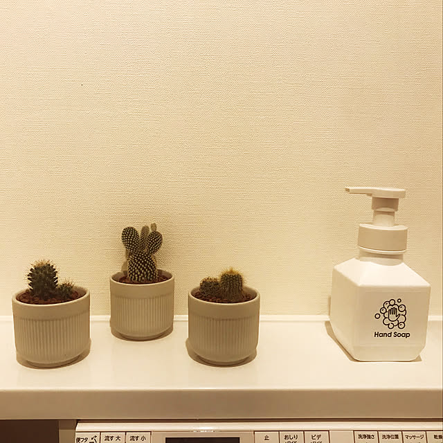 momosukeさんの実例写真