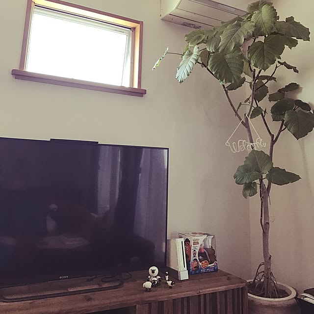 miiさんの実例写真