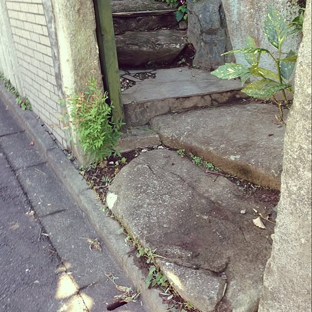 yupinさんの実例写真