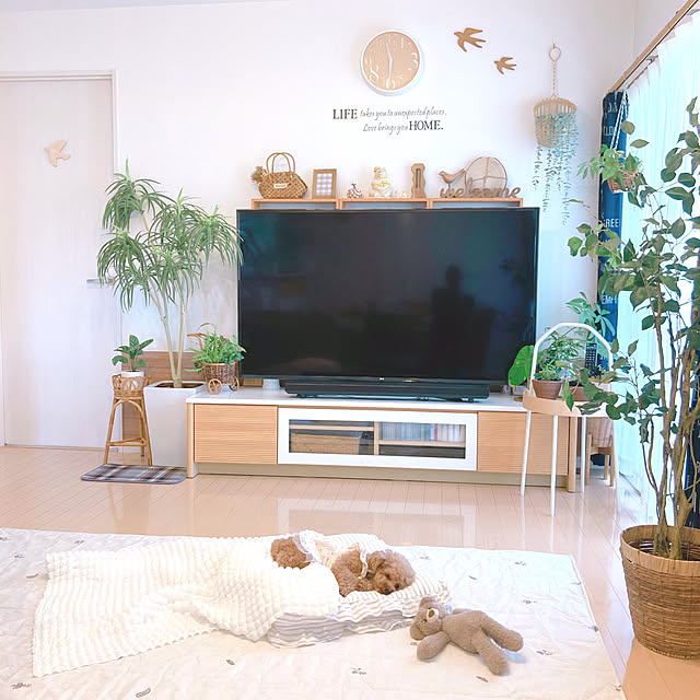 e.and.m.mamaさんの実例写真