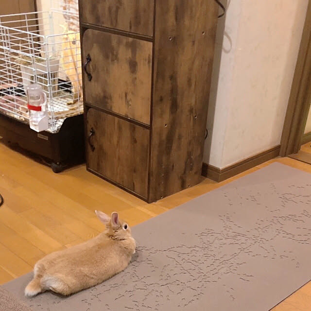 mi-hayaさんの実例写真