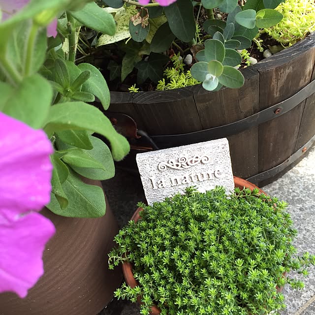 hiroさんの実例写真
