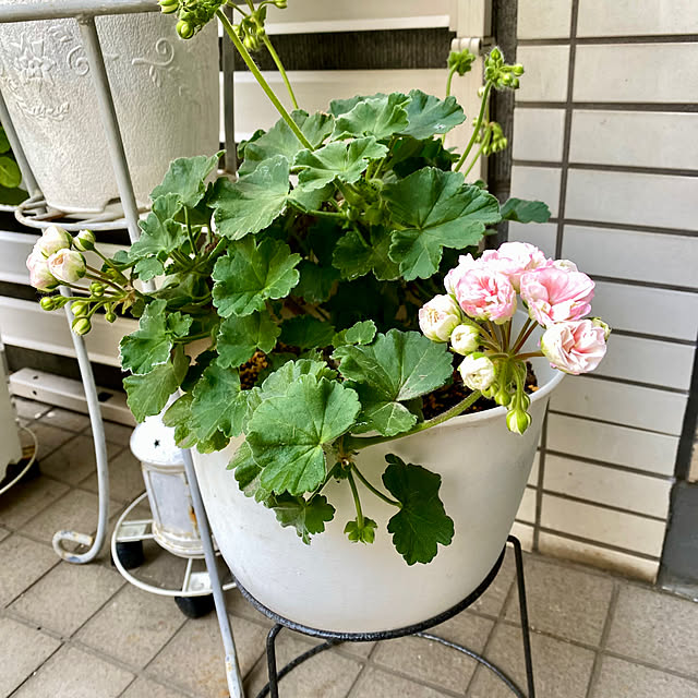 YuuKoさんの実例写真