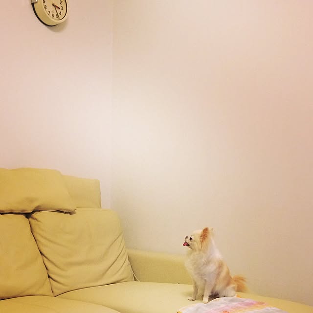 piyomi05さんの実例写真