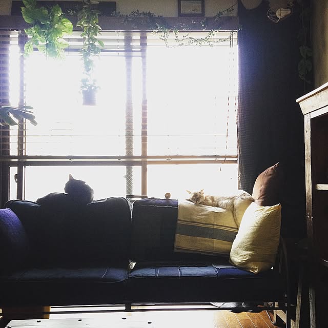 Naoki.さんの実例写真