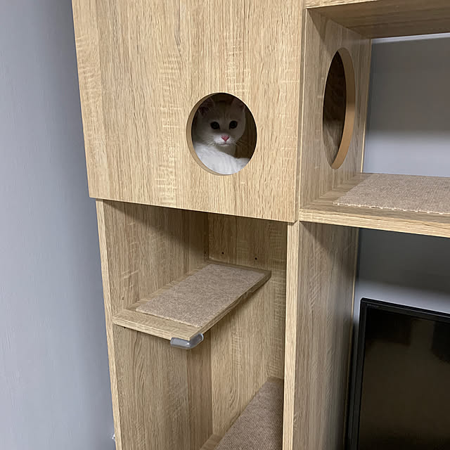 keiさんの実例写真