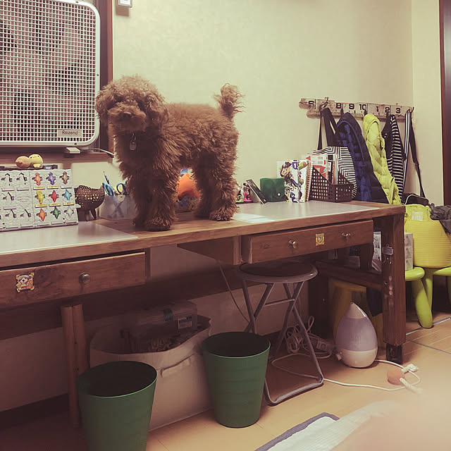 taka999さんの実例写真