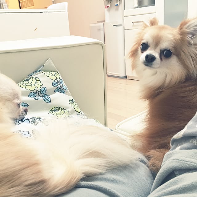 nappu_uさんの実例写真