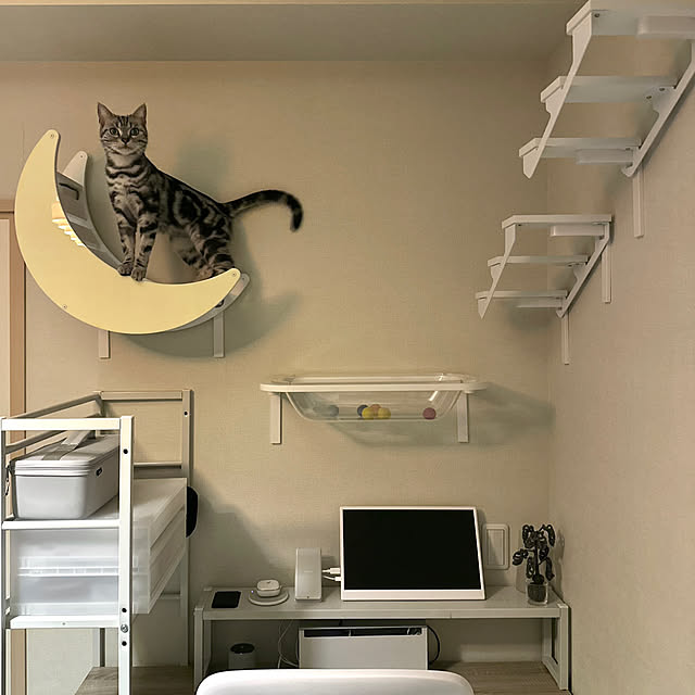 Yuki_with_a_tailさんの実例写真