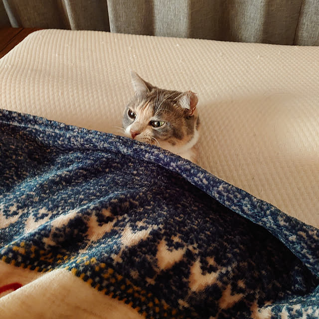 fukuさんの実例写真