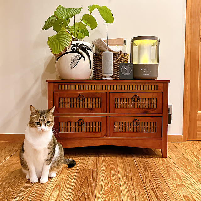 conmichanさんの実例写真