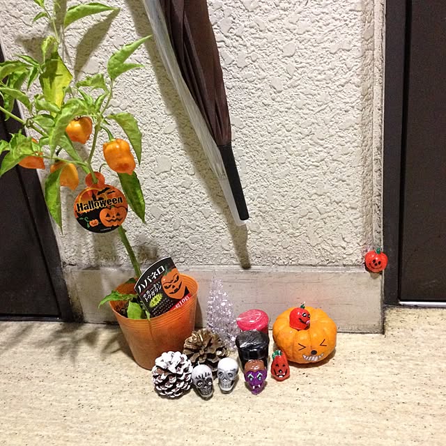 uraraさんの実例写真