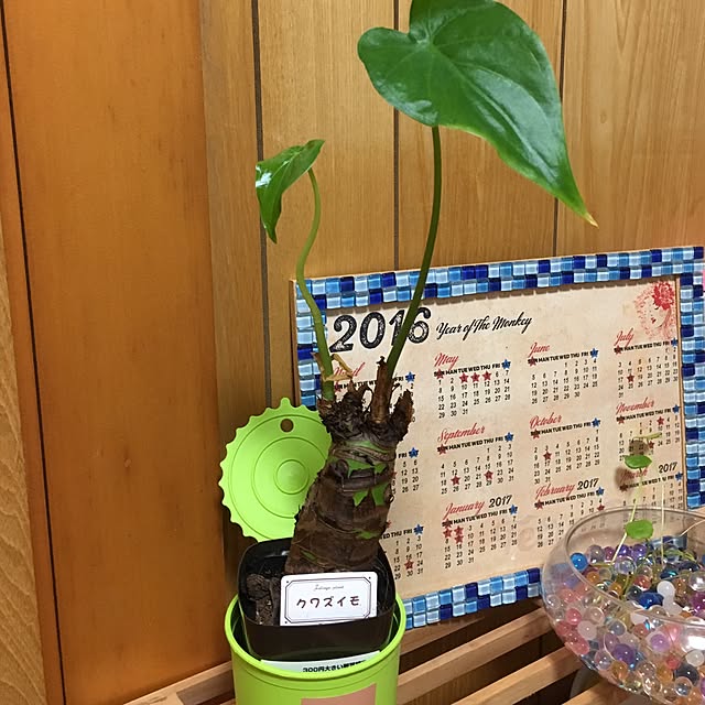 CHIROさんの実例写真
