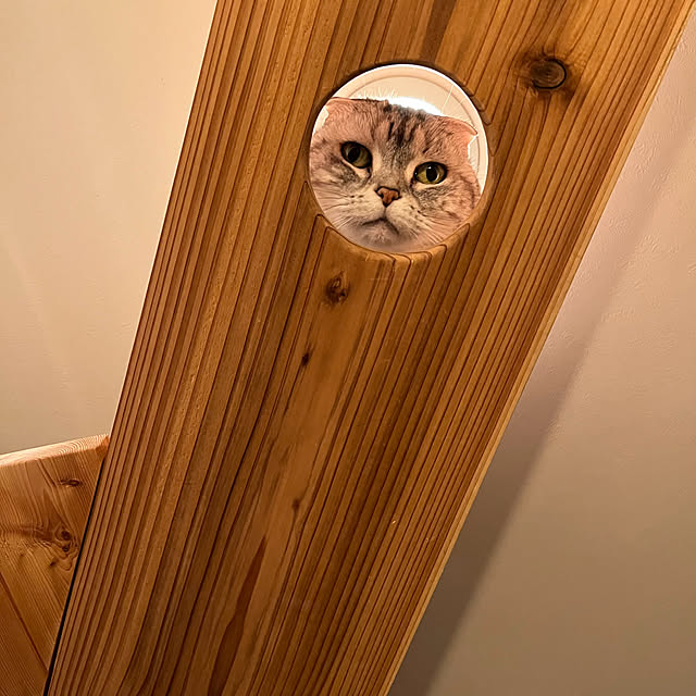 kuuさんの部屋