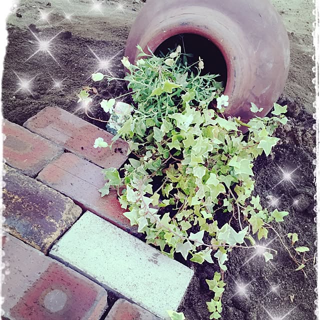HERBEEさんの実例写真