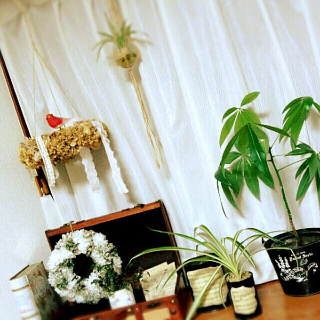 cache-cacheさんの実例写真