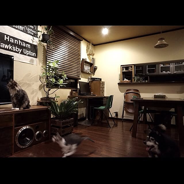 jnkaiさんの実例写真