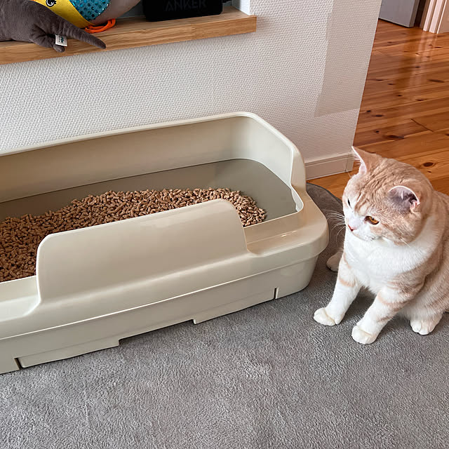 sanaさんの実例写真