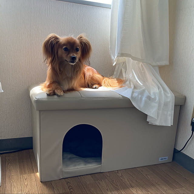 toratanさんの実例写真