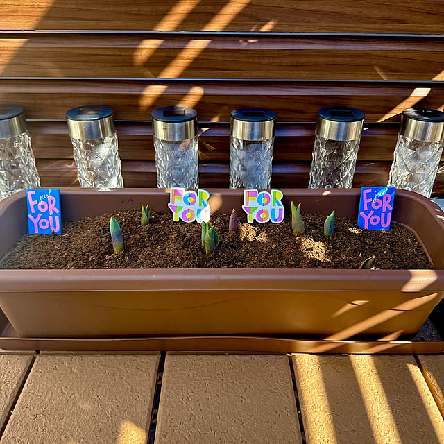 miyuさんの実例写真