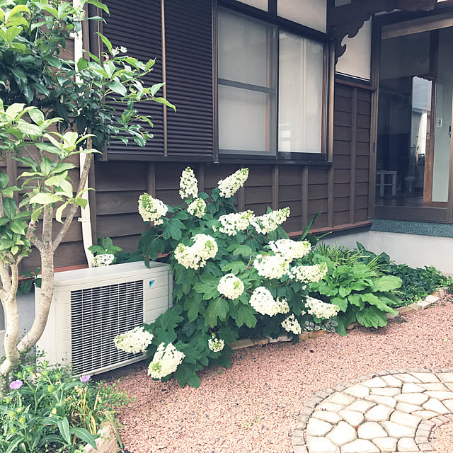 lovelyさんの実例写真