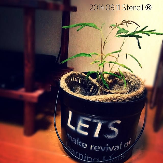 MYKさんの実例写真