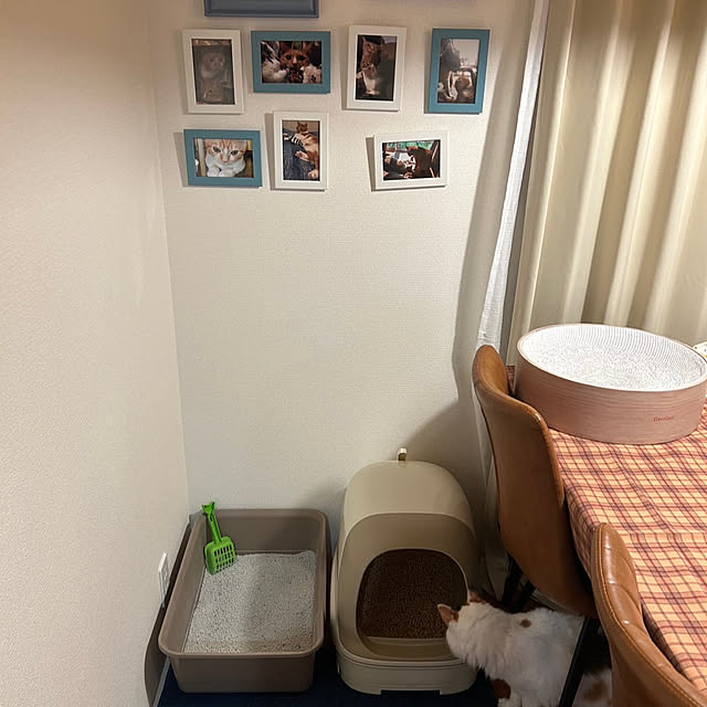 Akiさんの部屋
