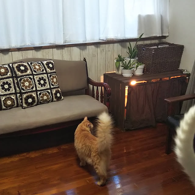gabさんの実例写真