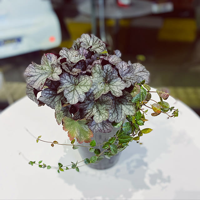 thirorunさんの実例写真