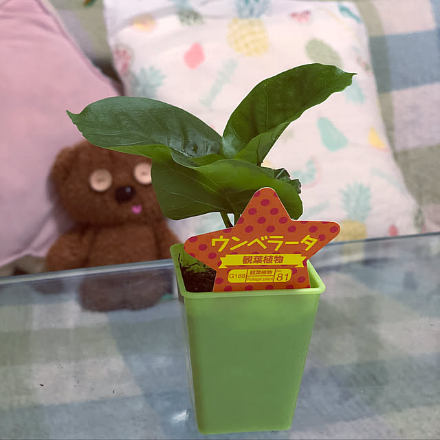 peach.810さんの実例写真