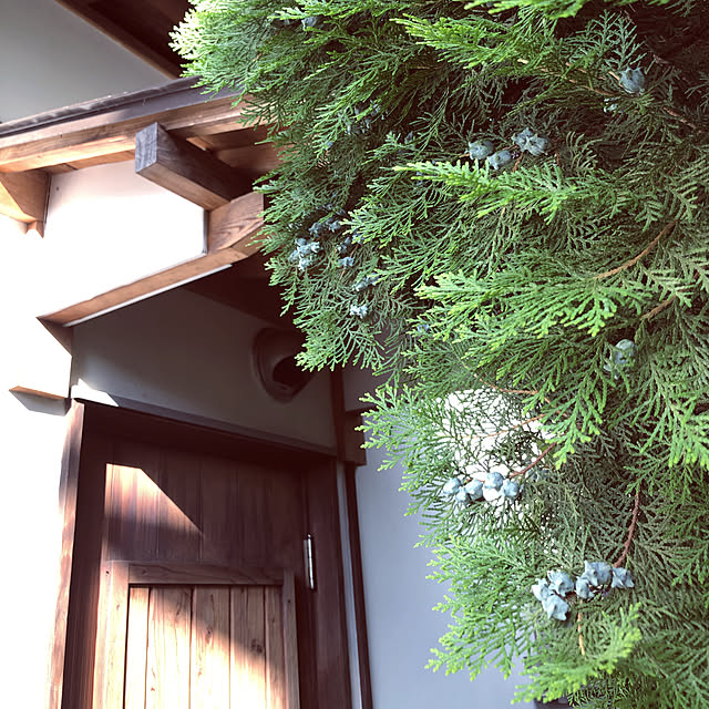 chacoさんの実例写真