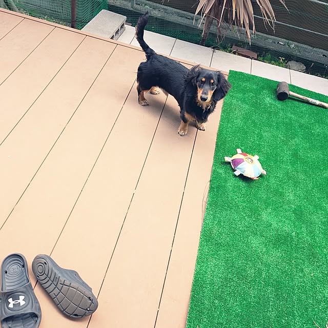 mikoさんの部屋