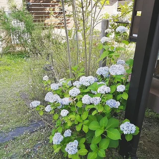 so-bokuさんの実例写真