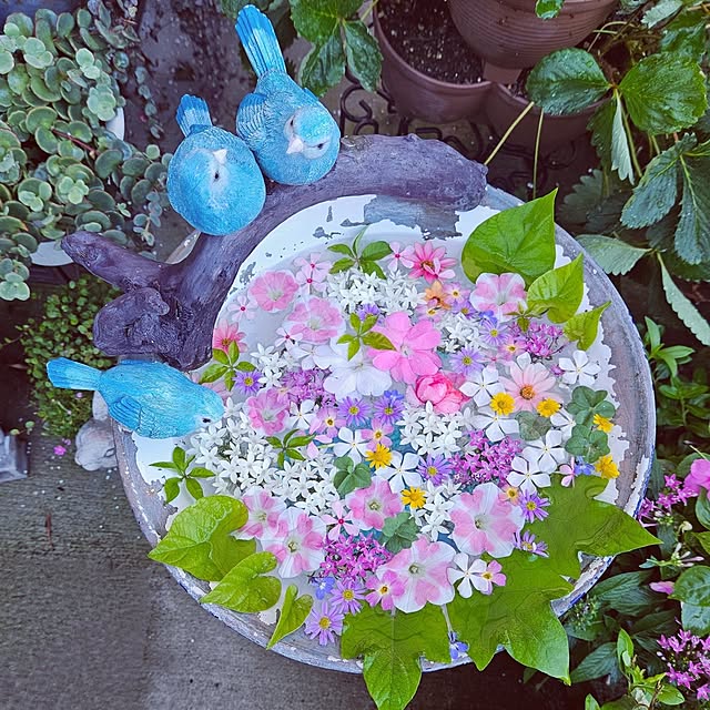 mocomocoさんの実例写真
