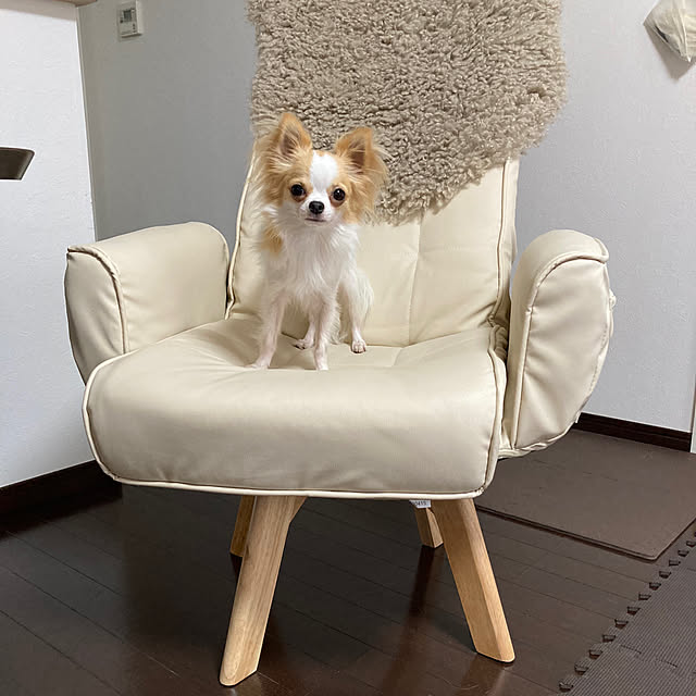 toratanさんの実例写真