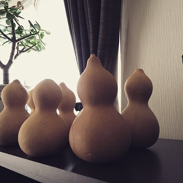 afroさんの実例写真