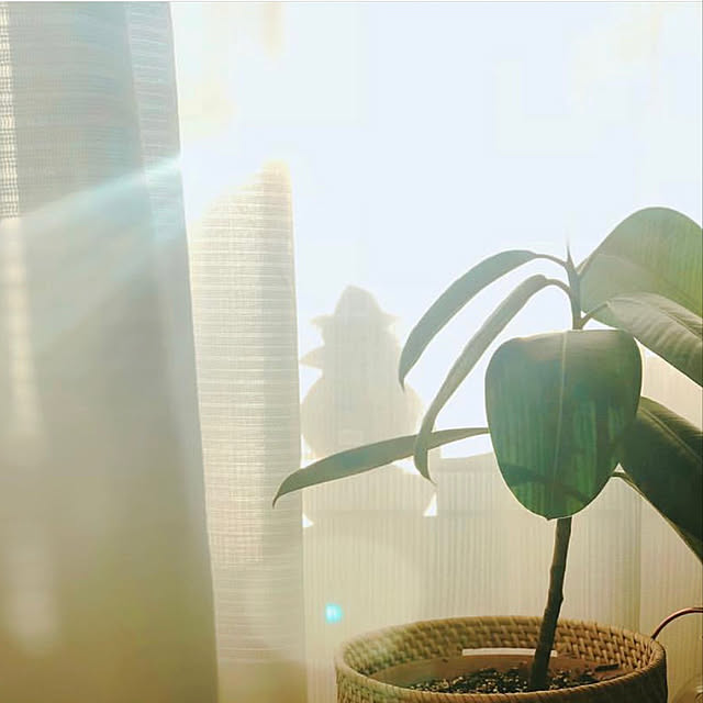 EDYさんの実例写真