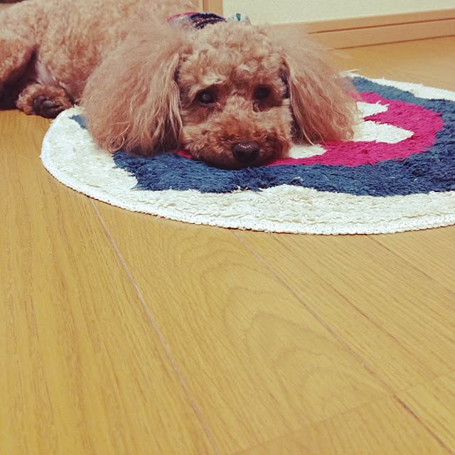 khsr86さんの実例写真