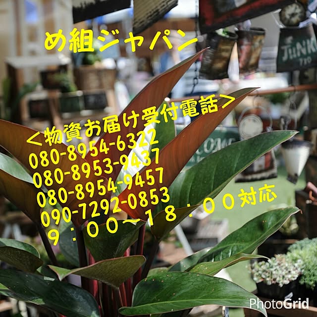 riesanchiさんの実例写真