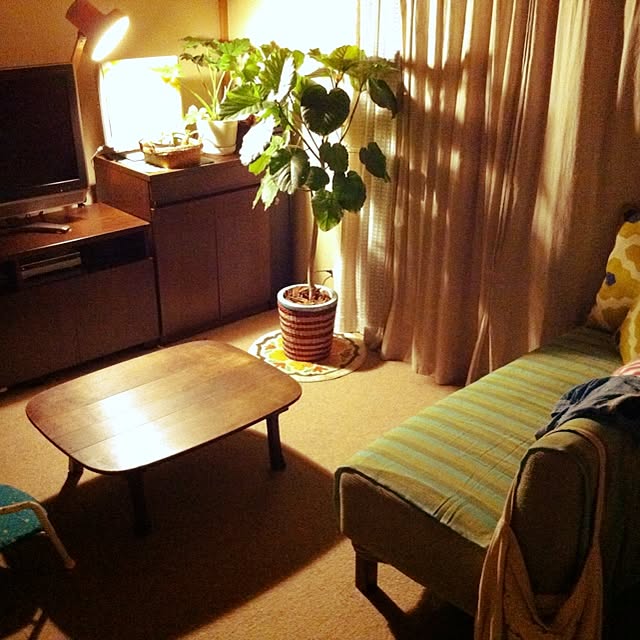 soramameさんの実例写真