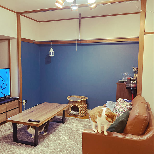 tokonさんの実例写真