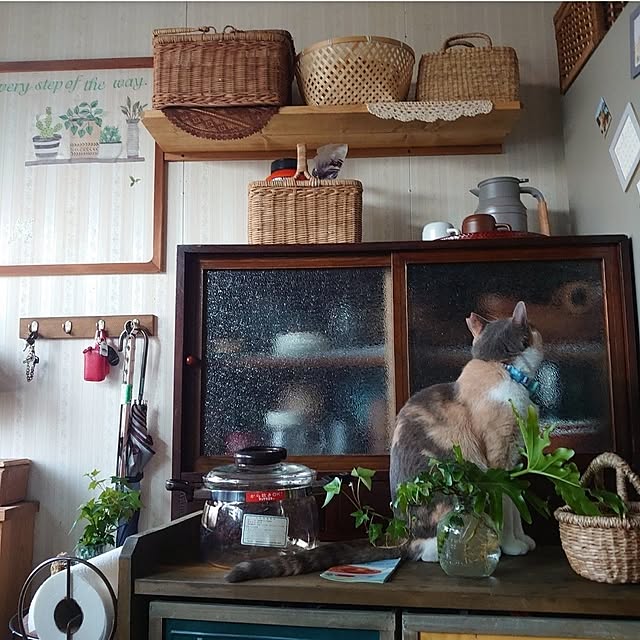 fukuさんの実例写真