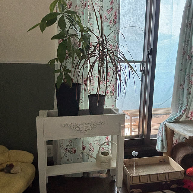 部屋全体/ペンキの塗り替え/プランターボックス/インテリアに合わせてペイント/ボタニカルインテリアのインテリア実例 - 2025-07-06 12:02:33