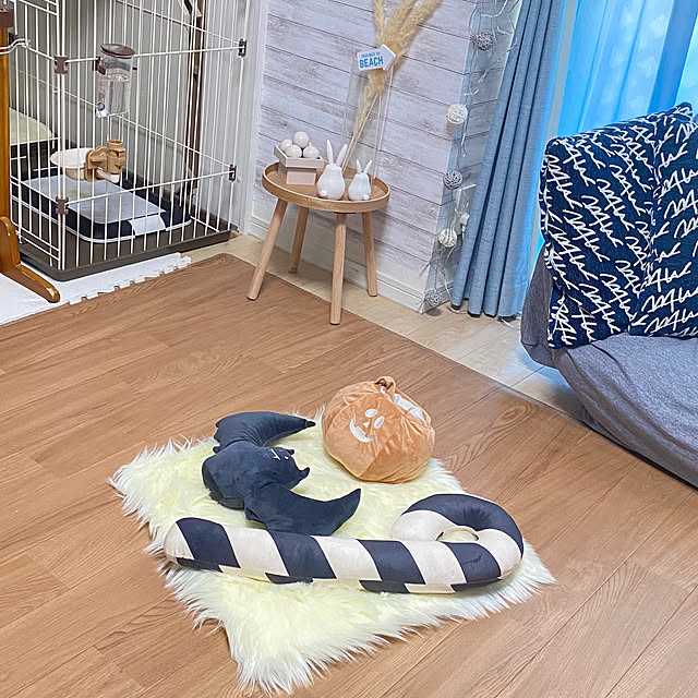 meronkunさんの実例写真