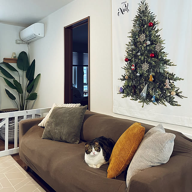 tansukeさんの部屋