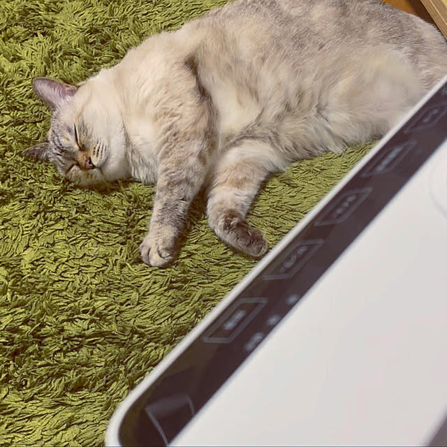 Ny77Coronさんの実例写真