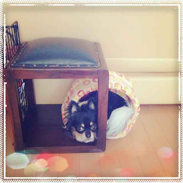 keiko.tさんの実例写真