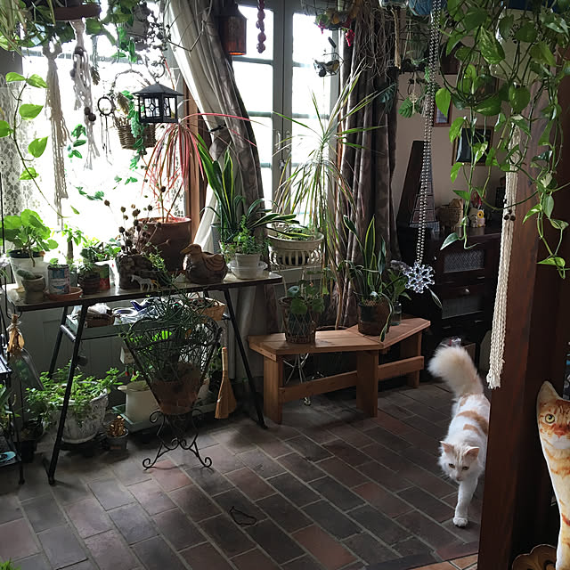 shigimiさんの実例写真