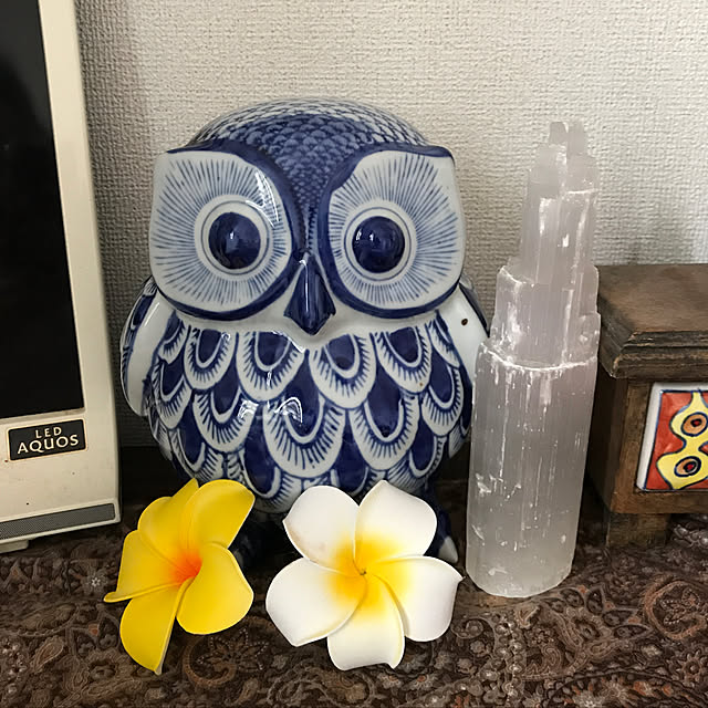 ayu.mocoさんの実例写真