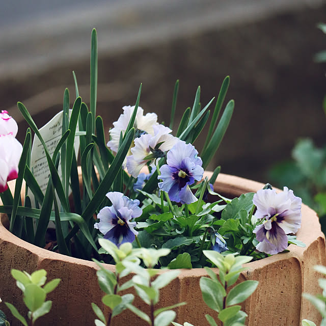 rokokoさんの部屋